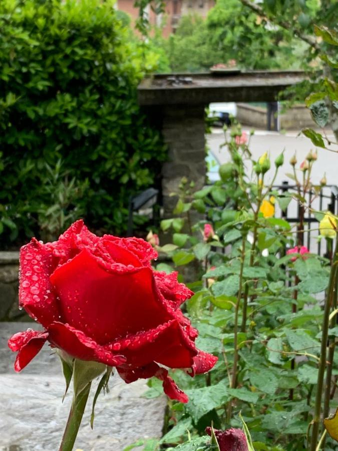 Bed and Breakfast Antica Fornace Bucine Esterno foto
