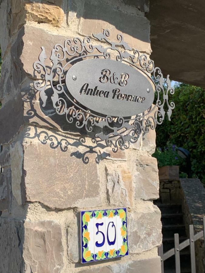 Bed and Breakfast Antica Fornace Bucine Esterno foto